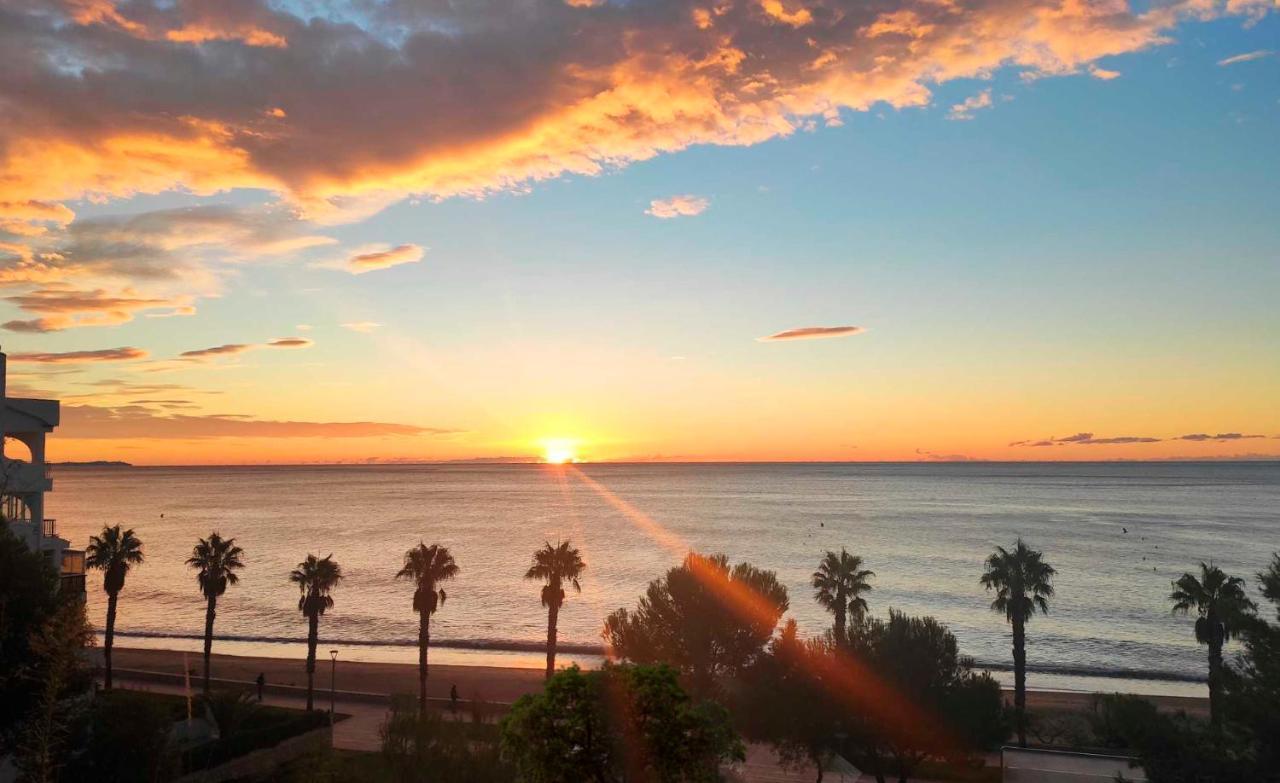 Sunrise Estudio Zebra, Con Vistas Jardin Y Mar 迈阿密普拉特亚 外观 照片